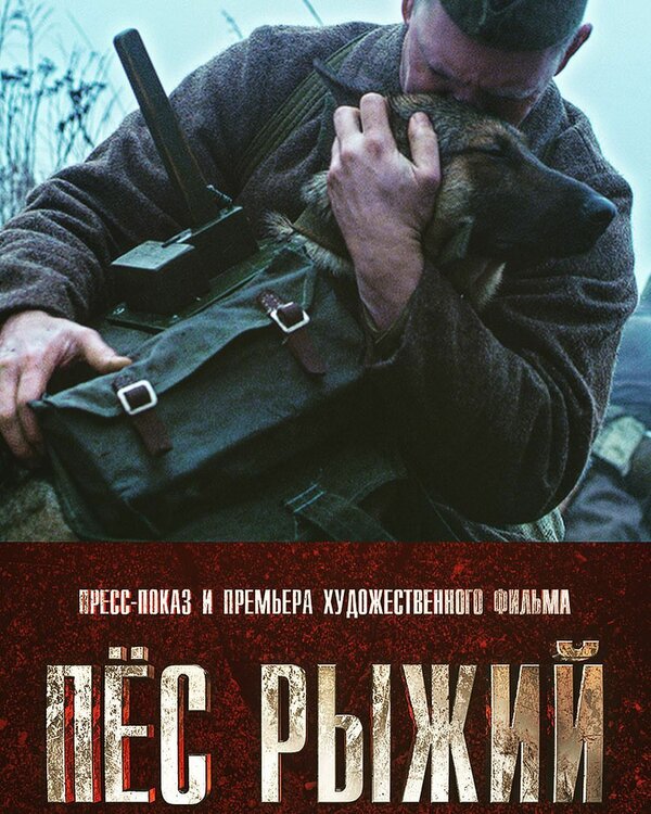 Постер фильма Пёс рыжий