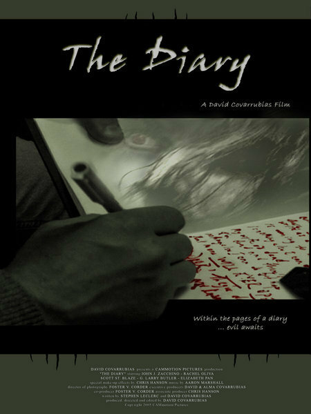 Постер фильма The Diary