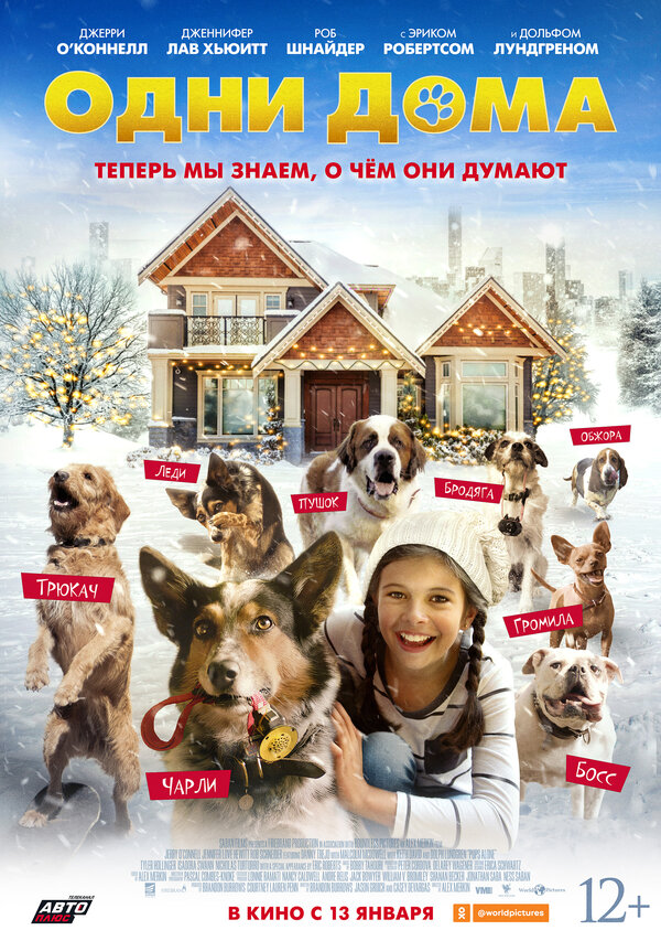 Постер фильма Одни дома