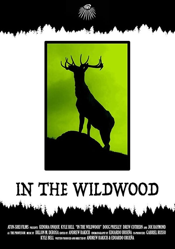 Постер фильма In the Wildwood