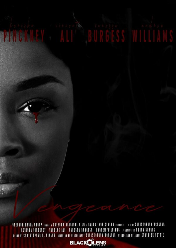 Постер фильма Vengeance