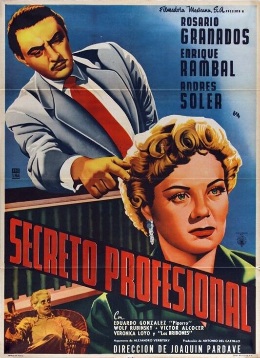 Постер фильма Secreto profesional