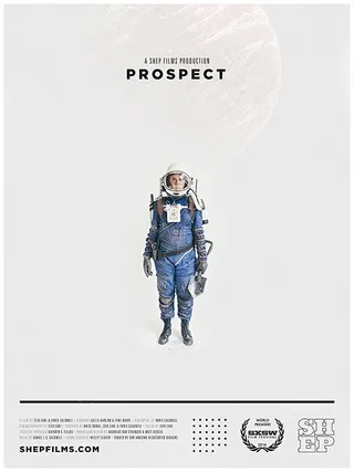 Постер Перспектива (2014)