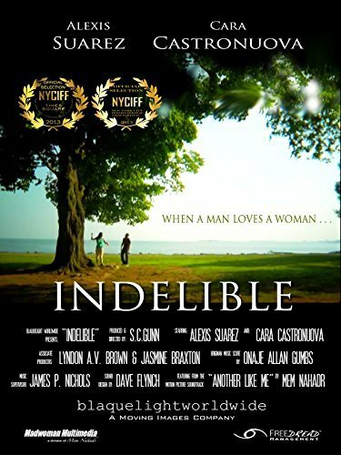 Постер фильма Indelible