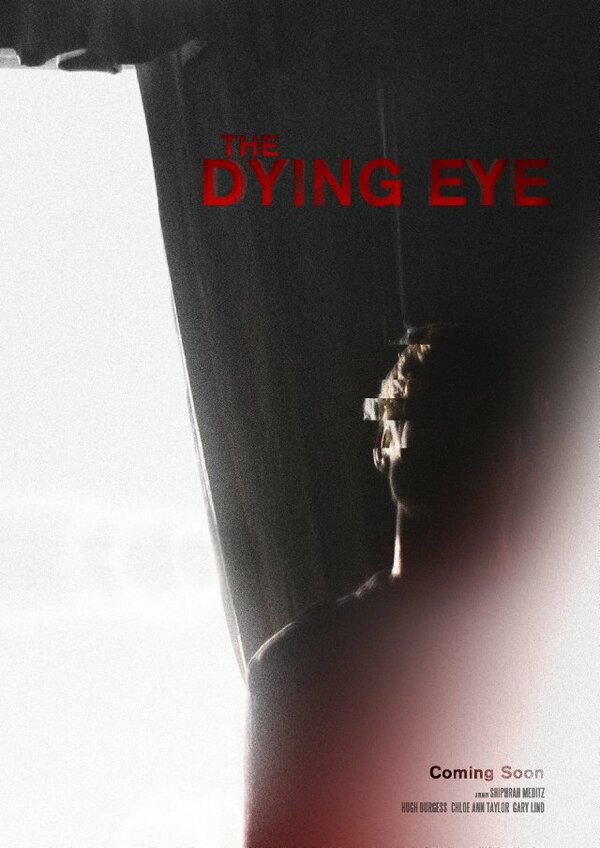 Постер фильма The Dying Eye