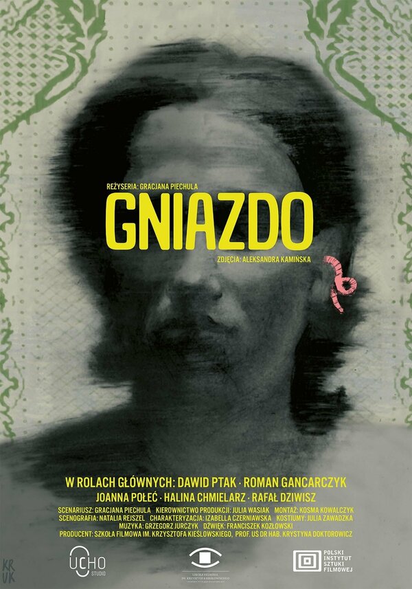 Постер фильма Gniazdo
