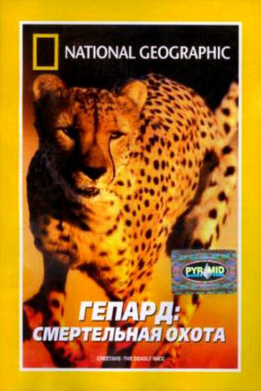Постер фильма Гепард: Смертельная охота