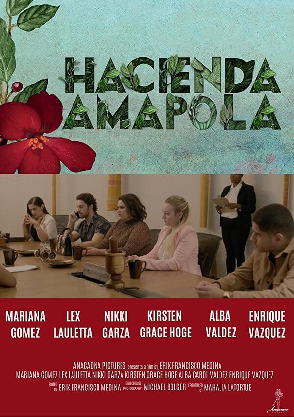Постер фильма Hacienda Amapola