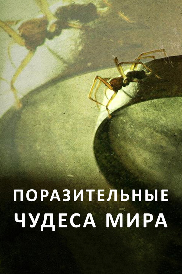 Постер сериала Поразительные чудеса мира