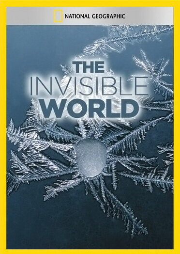 Постер фильма National Geographic: The Invisible World