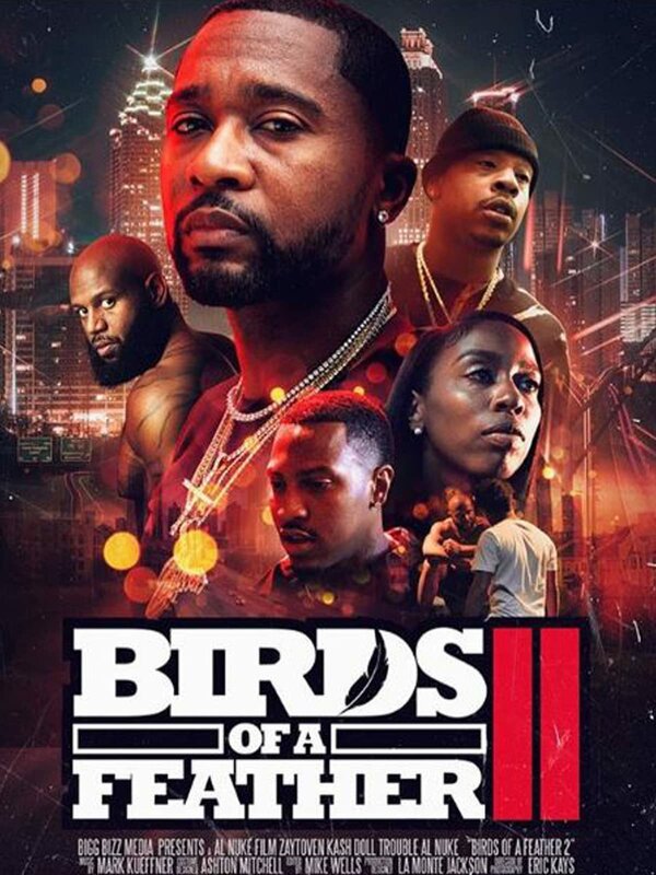 Постер фильма Birds of a Feather 2