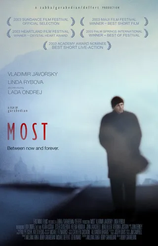 Постер Мост (2003)