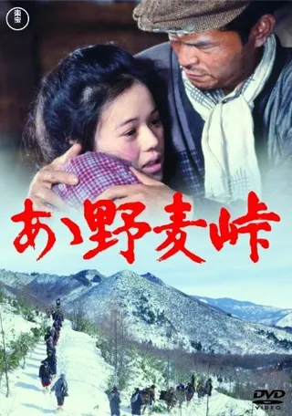 Постер Перевал Номуги (1979)