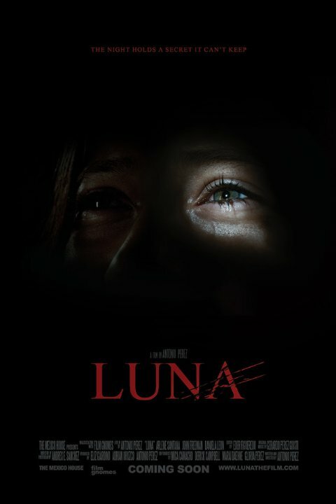Постер фильма Луна