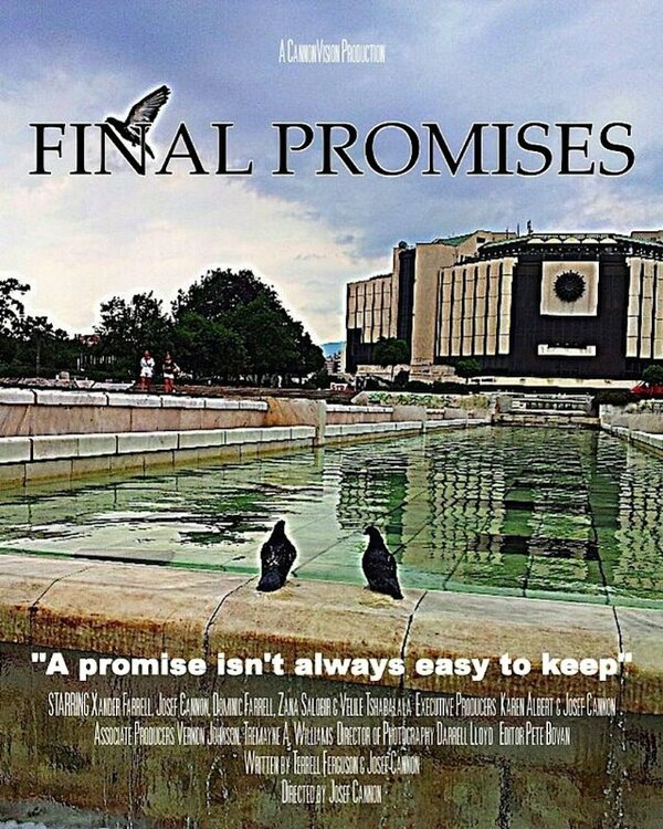 Постер фильма Final Promises