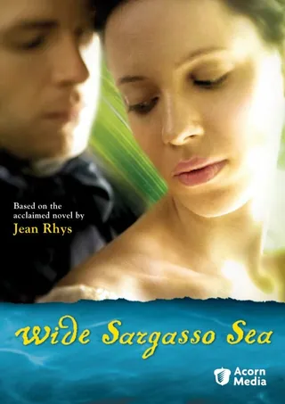 Постер Широкое Саргассово море (2006)
