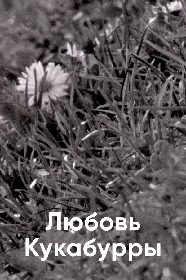 Постер фильма Любовь Кукабурры