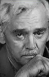 Владимир Горелов
