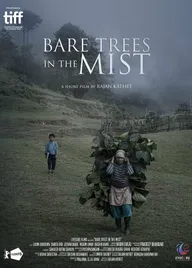Bare Trees in the Mist