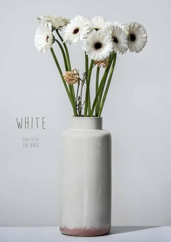 Постер фильма White