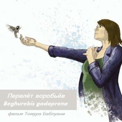 Постер фильма Перелёт воробьёв