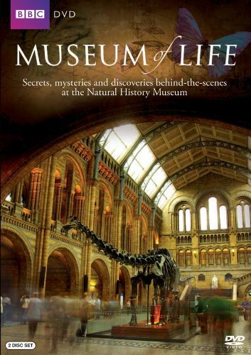 Постер сериала Museum of Life