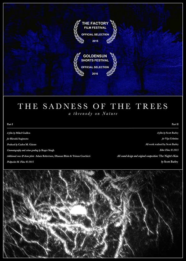 Постер фильма The Sadness of the Trees