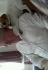 Кристофер Райан