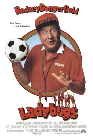 Постер Божьи коровки (1992)