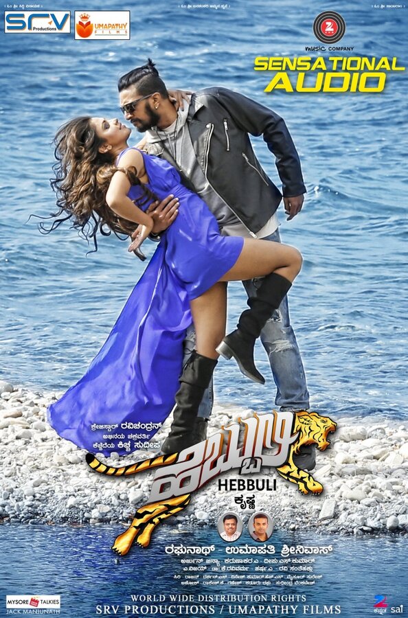 Постер фильма Hebbuli