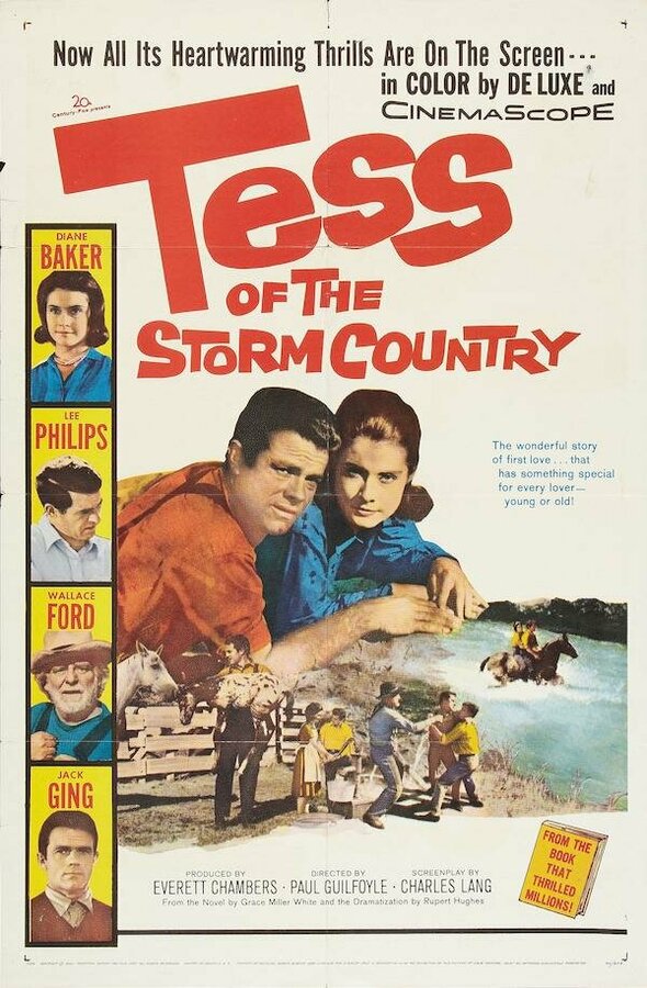 Постер фильма Tess of the Storm Country