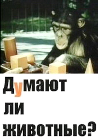 Постер фильма Думают ли животные?