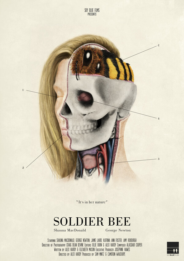 Постер фильма Soldier Bee