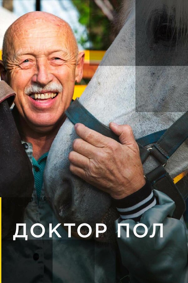 Постер сериала Доктор Пол