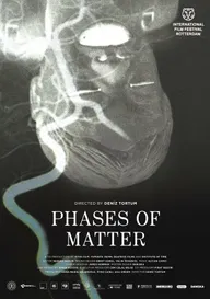 Phases of Matter