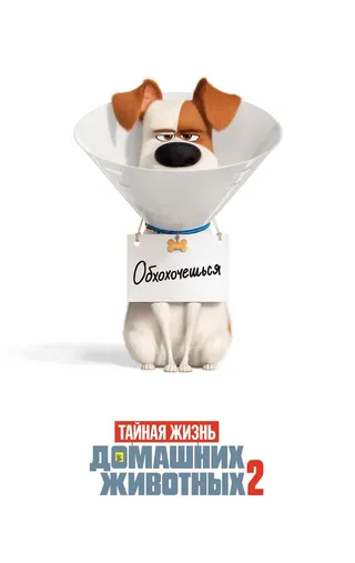 Постер Тайная жизнь домашних животных 2 (2019)