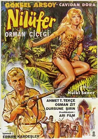 Nilüfer orman çiçegi