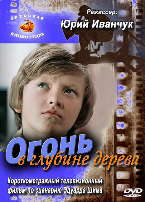Постер фильма Огонь в глубине дерева
