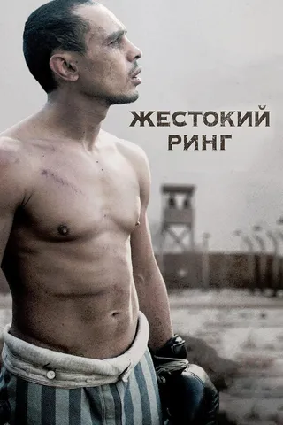 Постер Жестокий ринг (2013)