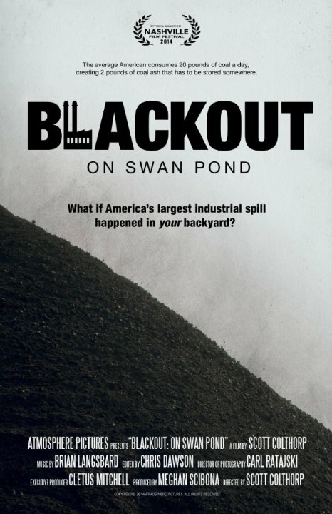 Постер фильма Blackout: On Swan Pond