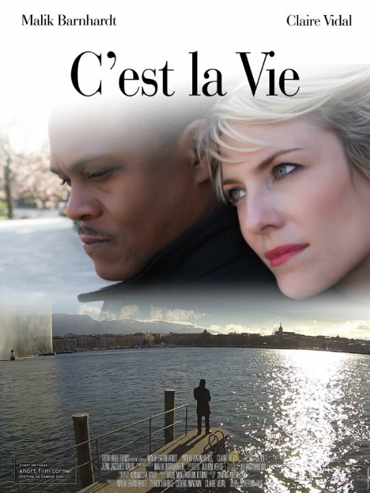 Постер фильма C'est la vie