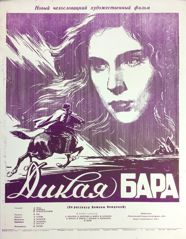 Постер фильма Дикая Бара