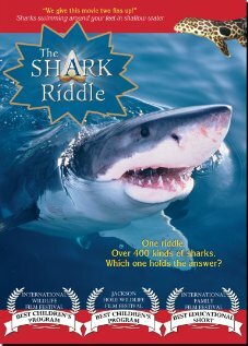 Постер фильма The Shark Riddle