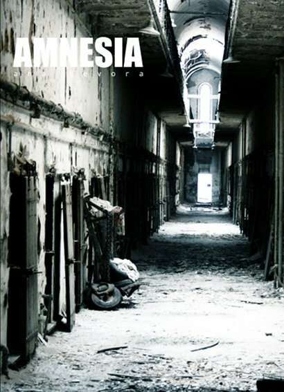Постер фильма Amnesia