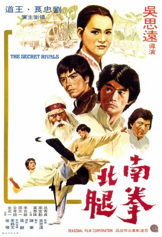 Постер Тайные соперники (1976)