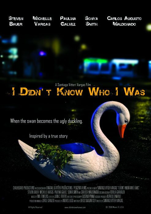 Постер фильма I Didn't Know Who I Was