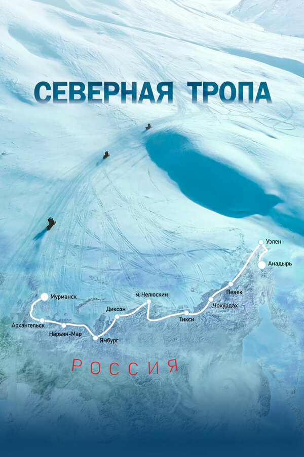 Постер фильма Северная тропа