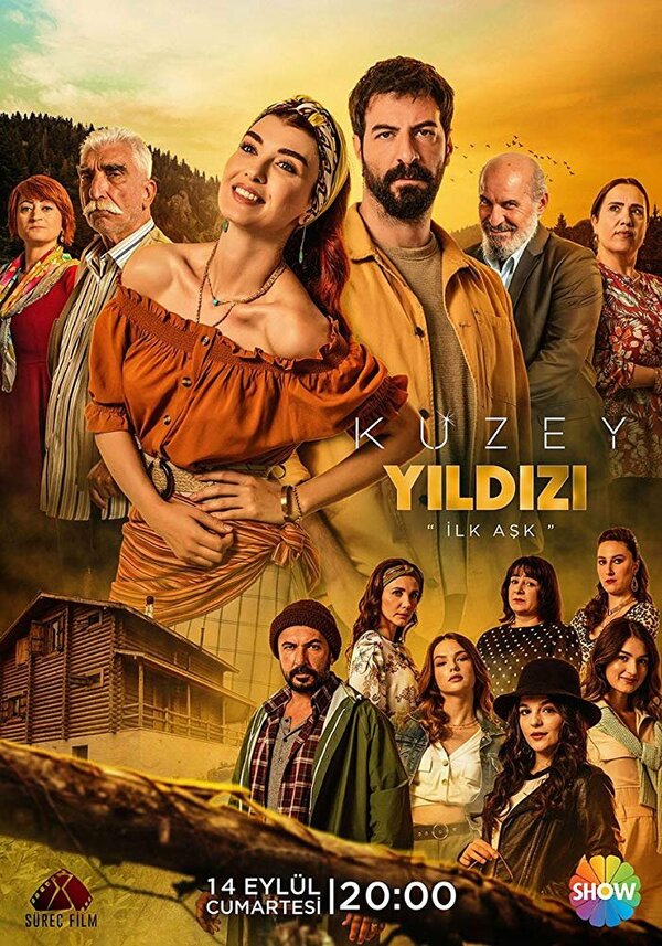 Постер сериала Северная звезда