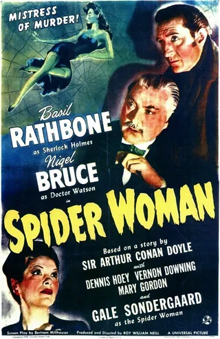 Постер Паучиха (1943)