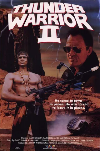 Постер Гром 2 (1987)